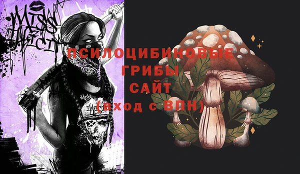 гашишное масло Инсар