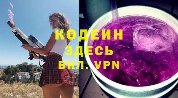 твердый Иннополис