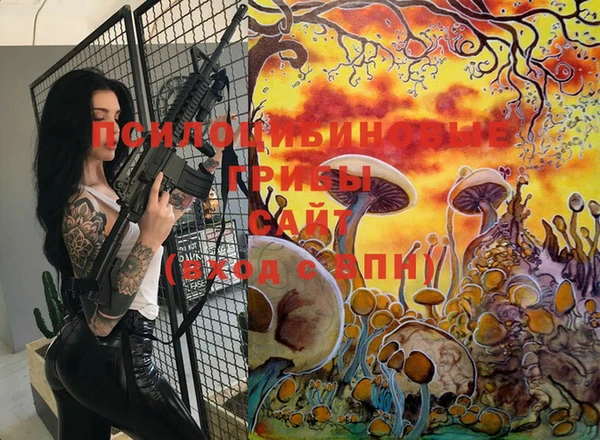 твердый Иннополис