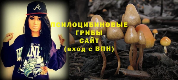твердый Иннополис