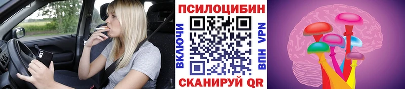 Галлюциногенные грибы мицелий  Купить  Дегтярск 